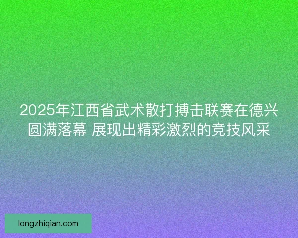 2025年江西省武术散打搏击联赛在德兴圆满落幕 展现出精彩激烈的竞技风采